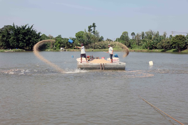 Cà Mau – Đẩy mạnh khai thác ưu thế công nghệ số- Ảnh 2.