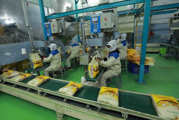 An Giang - Phát triển KH,CN, ĐMST&CĐS là khâu đột phá chiến lược- Ảnh 2. An Giang - Phát triển KH,CN, ĐMST&CĐS là khâu đột phá chiến lược- Ảnh 2.