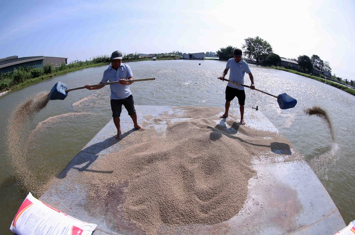 Cà Mau quyết tâm thực hiện hiệu quả Nghị quyết 57-NQ/TW của Bộ Chính trị- Ảnh 2. Cà Mau quyết tâm thực hiện hiệu quả Nghị quyết 57-NQ/TW của Bộ Chính trị- Ảnh 2.