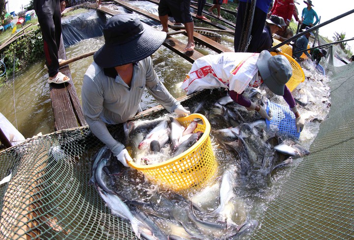 An Giang: Thúc đẩy hệ sinh thái khởi nghiệp đổi mới sáng tạo dựa trên lợi thế đặc thù- Ảnh 1. An Giang: Thúc đẩy hệ sinh thái khởi nghiệp đổi mới sáng tạo dựa trên lợi thế đặc thù- Ảnh 1.