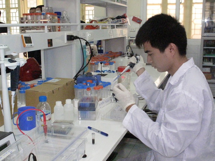 Quy định khung và trình tự, thủ tục xây dựng, thẩm định, ban hành, quản lý và tổ chức thực hiện chương trình KH,CN&ĐMST - Ảnh 1.