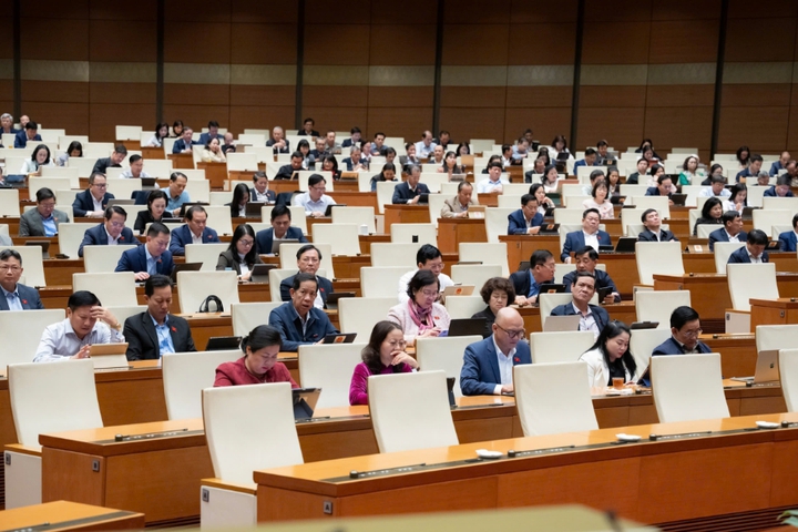 Kiến nghị hỗ trợ doanh nghiệp Việt bảo hộ công nghệ ở nước ngoài - Ảnh 1.