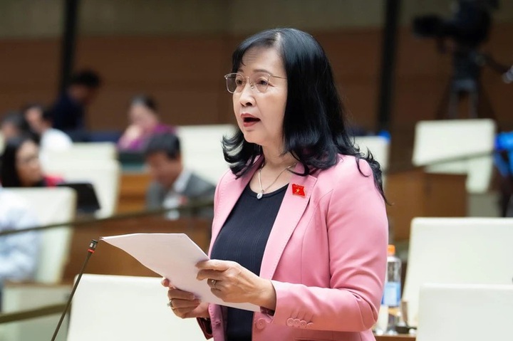 Tranh luận công nhận sản phẩm trí tuệ nhân tạo (AI), đại biểu đề nghị thận trọng tránh sao chép - Ảnh 1.