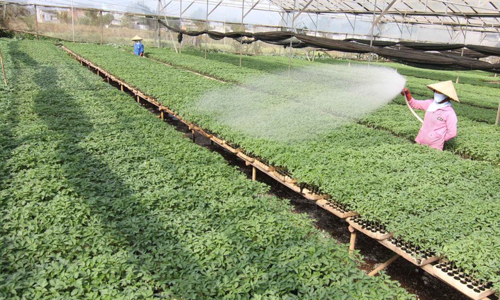 Đẩy mạnh ứng dụng công nghệ trong nông nghiệp, công nghiệp chế biến- Ảnh 1.