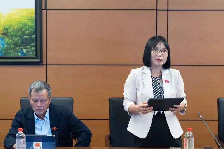 Hoàn thiện Luật Sở hữu trí tuệ để phát huy giá trị 'vàng mềm' của nền kinh tế- Ảnh 2. Hoàn thiện Luật Sở hữu trí tuệ để phát huy giá trị 'vàng mềm' của nền kinh tế- Ảnh 2.