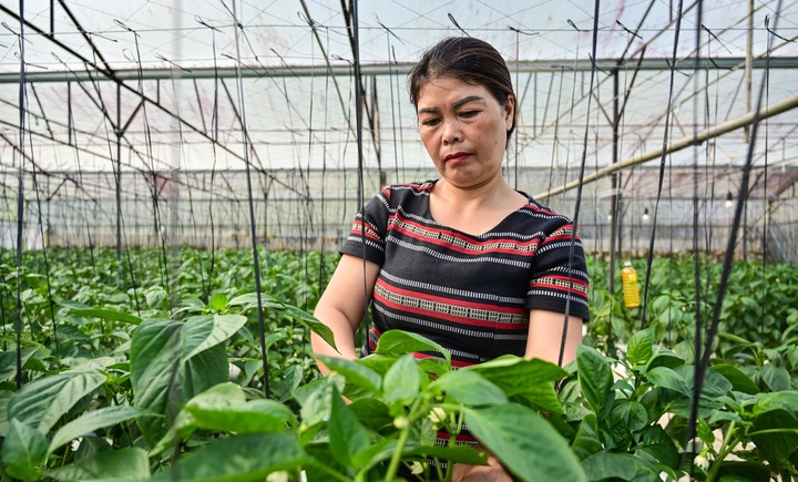 Công nghệ số gắn kết lòng dân, giữ bình yên ở khu vực biên giới - Ảnh 1.