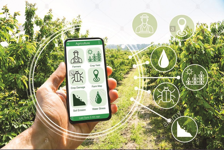 Xây dựng nông thôn hiện đại từ chuyển đổi số - Ảnh 1.