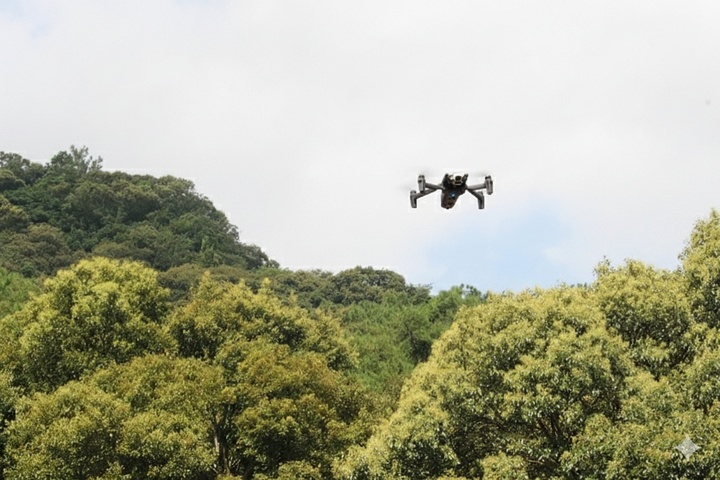 Bứt phá chuyển đổi số và AI - Ảnh 1.