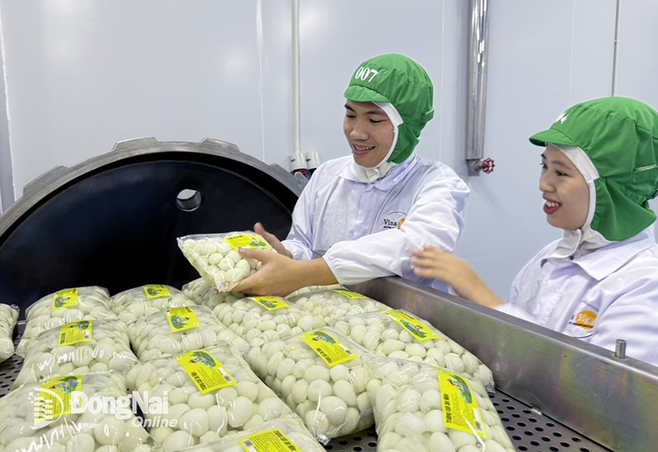 Doanh nghiệp Đồng Nai: “Đầu tàu số” dẫn dắt nông nghiệp công nghệ cao- Ảnh 1. Doanh nghiệp Đồng Nai: “Đầu tàu số” dẫn dắt nông nghiệp công nghệ cao- Ảnh 1.