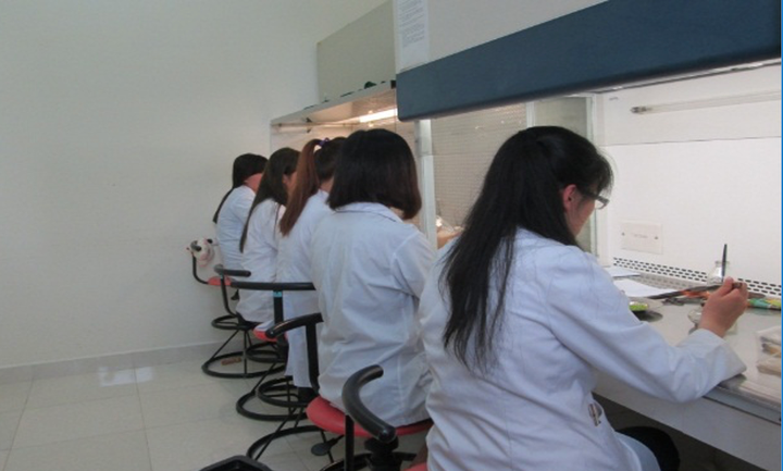 Ứng dụng năng lượng nguyên tử trong sản xuất nông nghiệp tại Lâm Đồng - Ảnh 7.