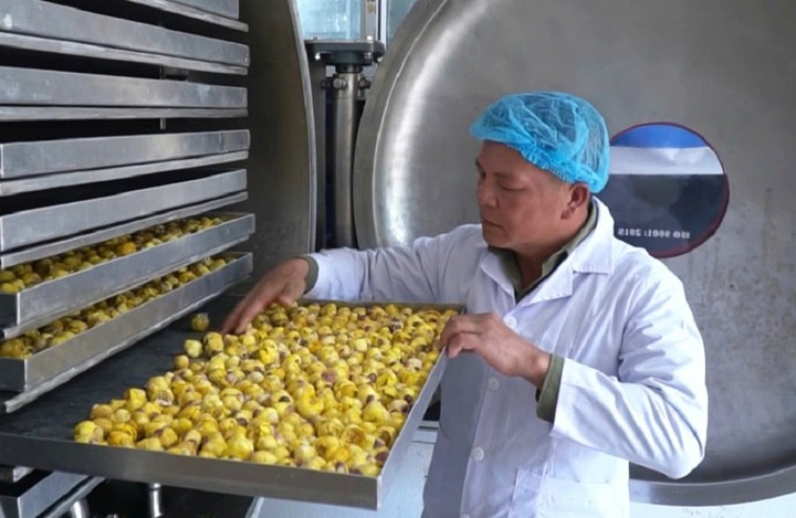 Chuyển đổi số: Đòn bẩy giúp doanh nghiệp Quảng Ninh tăng tốc sản xuất - Ảnh 1.