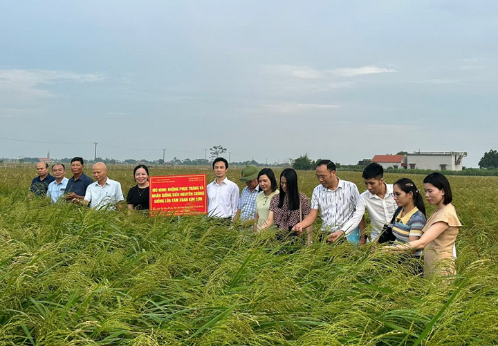 Khoa học công nghệ "Chìa khóa vàng" nâng cao sức cạnh tranh nông sản Ninh Bình - Ảnh 1.