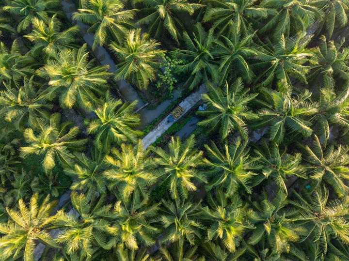 AgriS xây hệ sinh thái nông nghiệp tuần hoàn công nghệ cao - Ảnh 1. AgriS xây hệ sinh thái nông nghiệp tuần hoàn công nghệ cao - Ảnh 1.