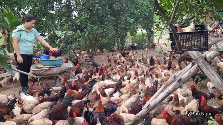 Khoa học, công nghệ – động lực then chốt thúc đẩy chuyển đổi xanh trong chăn nuôi- Ảnh 2. Khoa học, công nghệ – động lực then chốt thúc đẩy chuyển đổi xanh trong chăn nuôi- Ảnh 2.