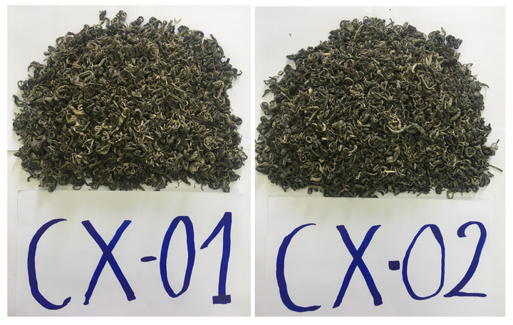 Bảo hộ chỉ dẫn địa lý “Tủa Chùa” cho sản phẩm chè xanh Shan tuyết và chè phổ nhĩ sống Shan tuyết- Ảnh 2. Bảo hộ chỉ dẫn địa lý “Tủa Chùa” cho sản phẩm chè xanh Shan tuyết và chè phổ nhĩ sống Shan tuyết- Ảnh 2.