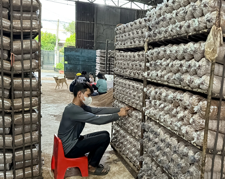 Tháo gỡ vướng mắc về nhãn hiệu tập thể, chỉ dẫn địa lý cho sản phẩm địa phương - Ảnh 1.