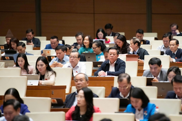 91,33% đại biểu t&aacute;n th&agrave;nh, Quốc hội th&ocirc;ng qua Luật sửa đổi, bổ sung một số điều của Luật Sở hữu tr&iacute; tuệ - Ảnh 6.