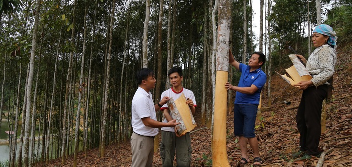Khoa học và Công nghệ: Động lực đột phá cho chuyển đổi xanh ở Lào Cai - Ảnh 2.
