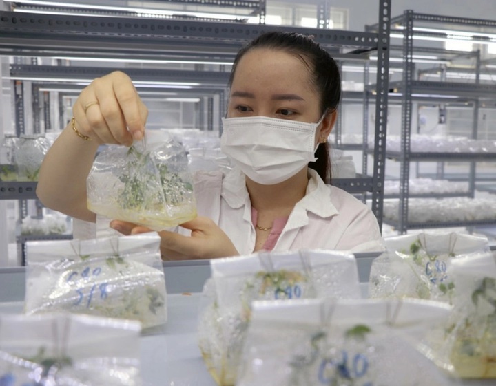 Hà Nội vượt trội toàn quốc về doanh nghiệp khoa học và công nghệ - Ảnh 2.