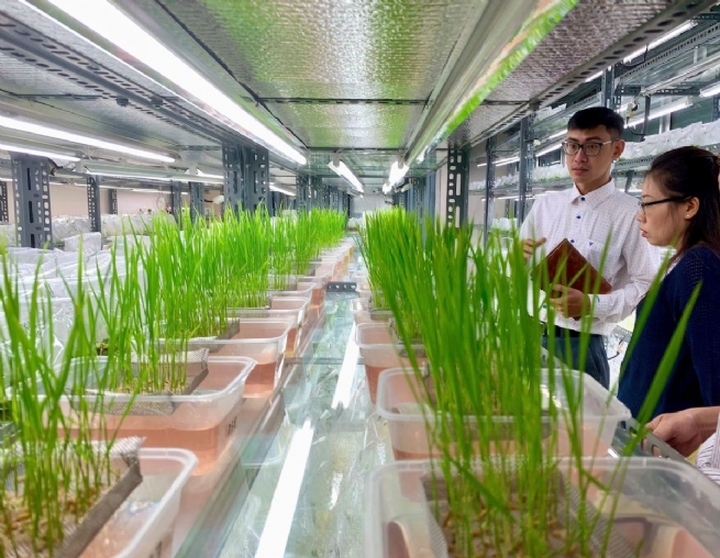 Khoa học công nghệ: Động lực phát triển nền nông nghiệp hiện đại - Ảnh 3.