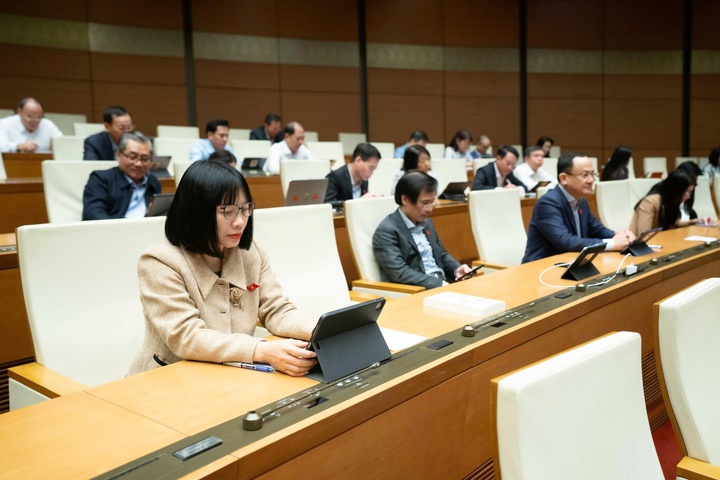 Sửa Luật Sở hữu trí tuệ: Đẩy mạnh chuyển đổi số và cải cách thủ tục hành chính - Ảnh 8.