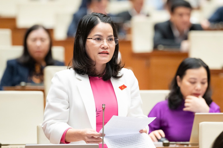 Sửa Luật Sở hữu trí tuệ: Đẩy mạnh chuyển đổi số và cải cách thủ tục hành chính - Ảnh 4.