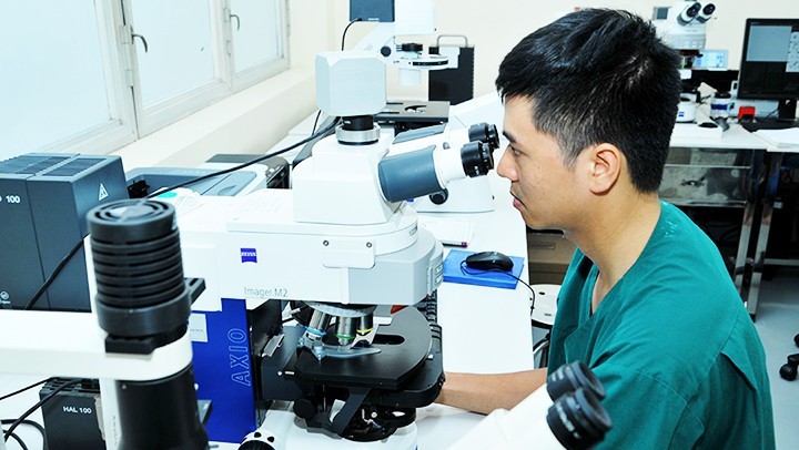 Intellectual property – engine for Viet Nam's drive towards prosperity - Ảnh 1.