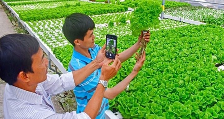 Xây dựng nền nông nghiệp thịnh vượng - Ảnh 1.