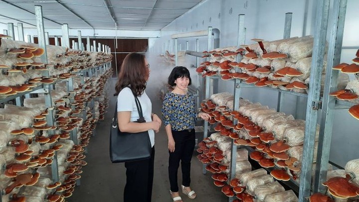 Hướng đến nền nông nghiệp hiện đại - Ảnh 1.