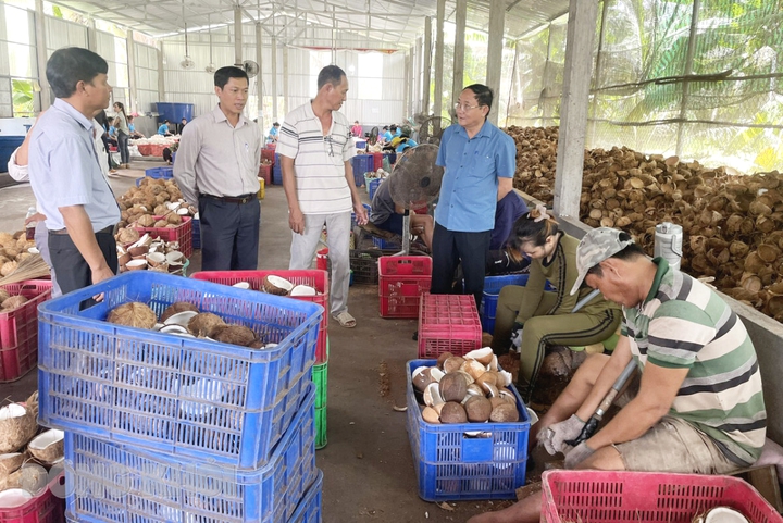Phát triển nông nghiệp hữu cơ, công nghệ cao, thích ứng với biến đổi khí hậu - Ảnh 1.