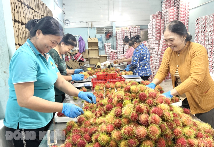 Bệ ph&oacute;ng cho n&ocirc;ng nghiệp ph&aacute;t triển từ OCOP - Ảnh 1.
