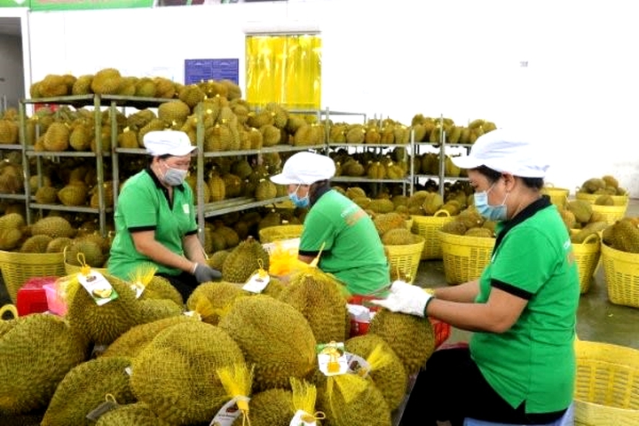 Bến Tre: Vững bước tr&ecirc;n h&agrave;nh tr&igrave;nh x&acirc;y dựng n&ocirc;ng th&ocirc;n mới - Ảnh 1.
