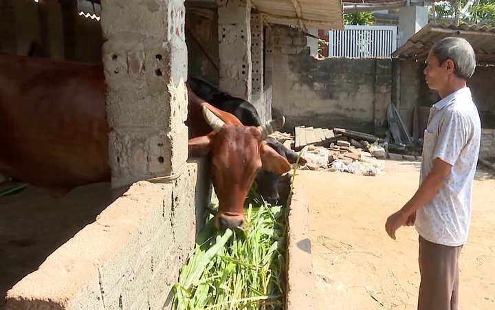 Phú Thọ đặt mục tiêu giảm tỷ lệ hộ nghèo xuống còn 2,75% vào cuối năm 2025 - Ảnh 2.