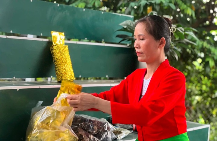 Phú Thọ: Hành trình vươn lên thoát nghèo từ "thông tin số" của phụ nữ vùng sâu, vùng xa - Ảnh 3.