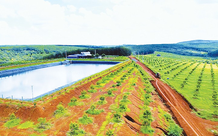 Bình Phước: Ứng dụng khoa học công nghệ để phát triển nông nghiệp công nghệ cao, hướng tới giảm nghèo bền vững - Ảnh 1.