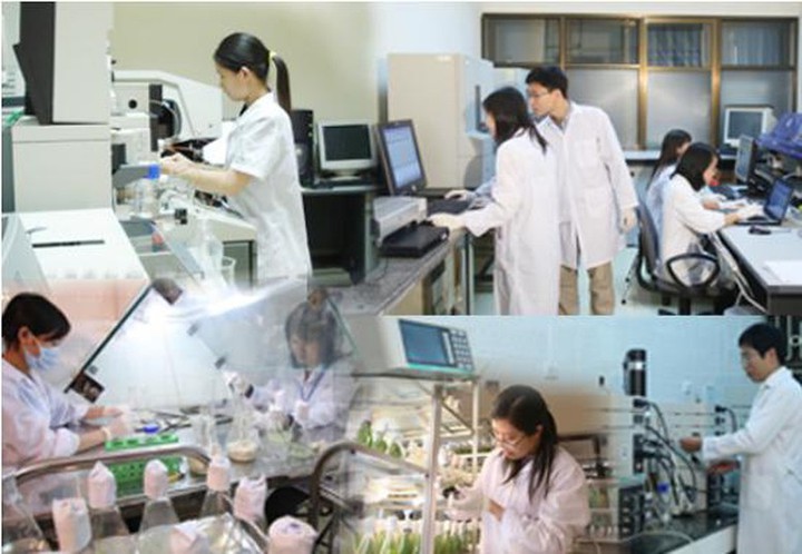 Ho&agrave;n thiện khung quản l&yacute; hoạt động đại diện sở hữu c&ocirc;ng nghiệp - Ảnh 1.