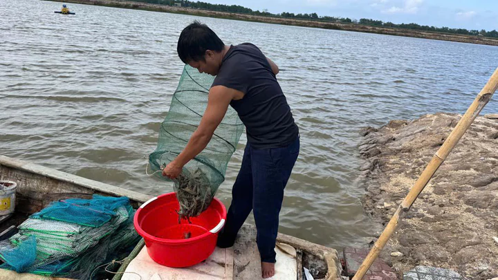 Hà Tĩnh thúc đẩy công nghiệp sinh học, nâng giá trị nông nghiệp- Ảnh 2.