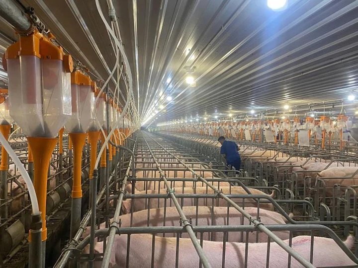 Khoa học, công nghệ và đổi mới sáng tạo: Động lực tháo gỡ điểm nghẽn phát triển ngành chăn nuôi Thanh Hóa- Ảnh 2.