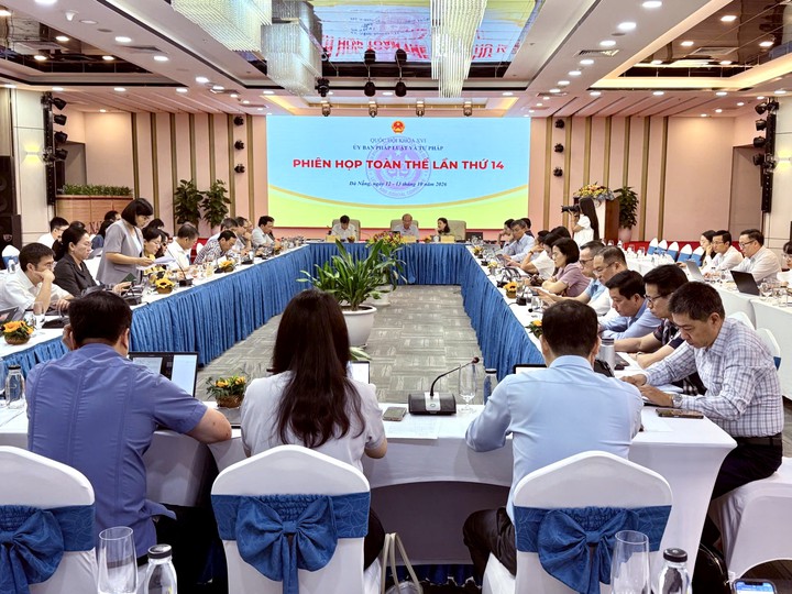 Hoàn thiện dự thảo Luật Sở hữu trí tuệ: Cải cách thực chất, chuyển giao nhiệm vụ không gián đoạn- Ảnh 2.