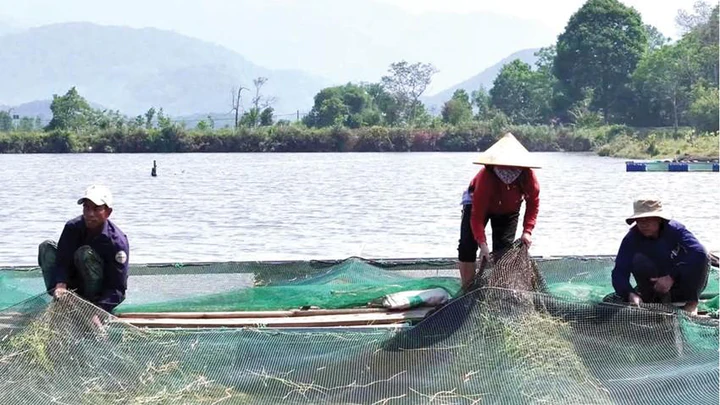 Nuôi cá lồng trên lòng hồ thủy điện, mở sinh kế cho người dân A Lưới- Ảnh 2.