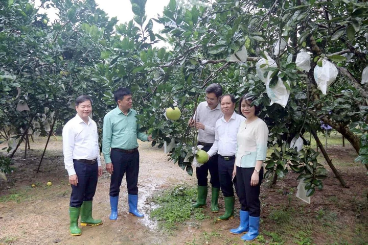 Tuyên Quang đặt hàng 31 nhiệm vụ khoa học, công nghệ và đổi mới sáng tạo năm 2026- Ảnh 1.