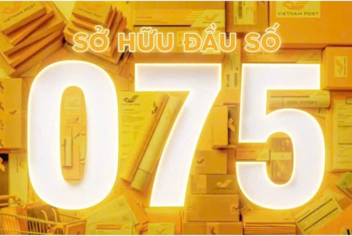 Tổng c&ocirc;ng ty Bưu điện Việt Nam tr&uacute;ng đấu gi&aacute; đầu số 075- Ảnh 1.