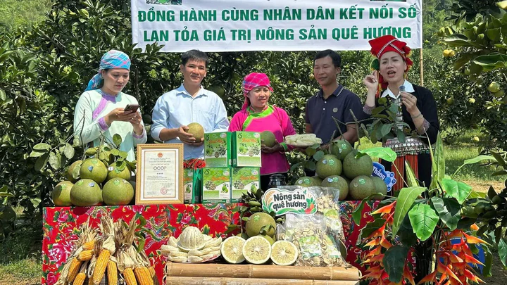 Ứng dụng công nghệ số mở rộng thị trường tiêu thụ nông sản- Ảnh 1.