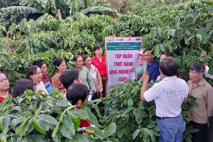Đưa kỹ thuật chăn nu&ocirc;i, th&acirc;m canh c&agrave; ph&ecirc; đến 129 hộ d&acirc;n ở L&acirc;m Đồng
- Ảnh 2.