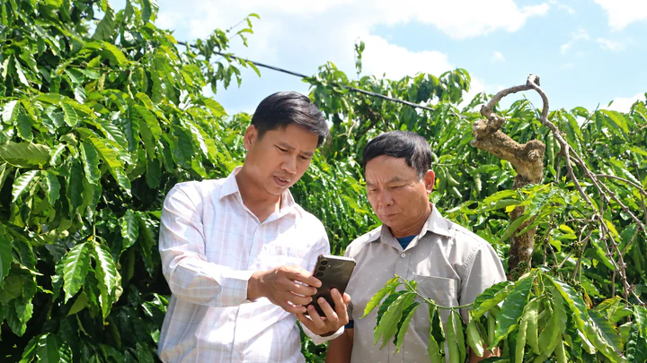 Công nghệ số mở hướng phát triển kinh tế cho nông dân Quảng Ngãi- Ảnh 2.