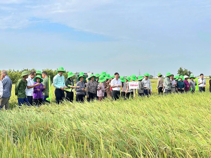 Hưng Yên tìm đầu ra thị trường cho 312 nhiệm vụ khoa học và công nghệ- Ảnh 2.