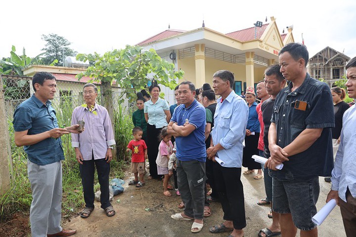 C&acirc;y H&ocirc;ng Paulownia.VN mở th&ecirc;m hướng phủ xanh đất dốc, ph&aacute;t triển rừng kinh tế ở Sơn La- Ảnh 2.