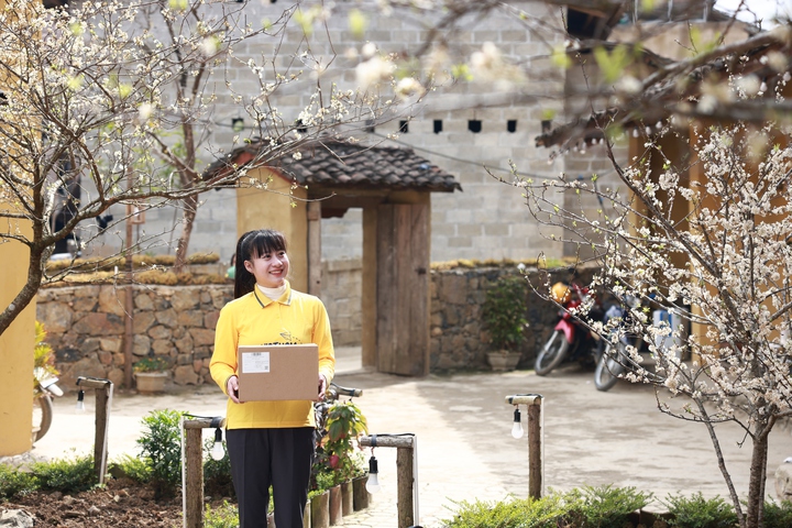 Bưu điện Việt Nam bảo đảm lưu th&ocirc;ng h&agrave;ng h&oacute;a dịp cao điểm Tết B&iacute;nh Ngọ- Ảnh 1.