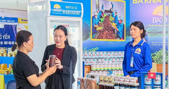 C&agrave; Mau tạo đột ph&aacute; chuyển đổi số v&agrave; khoa học - c&ocirc;ng nghệ trong năm h&agrave;nh động 2026 - Ảnh 1.