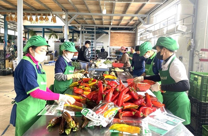 C&aacute;c hợp t&aacute;c x&atilde; L&acirc;m Đồng chuyển m&igrave;nh trong kỷ nguy&ecirc;n số - Ảnh 1.